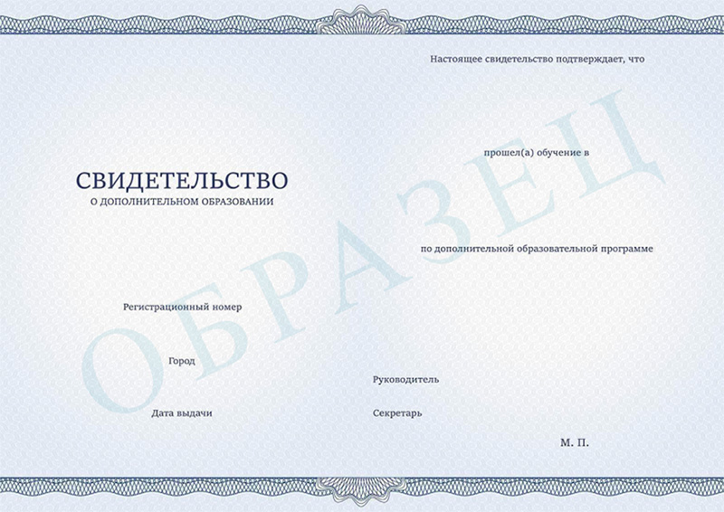 Свидетельство ДО